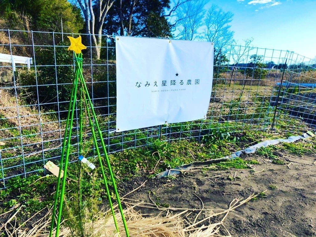 なみえ星降る農園（福島県浪江町）から生まれたブランド野菜、「ゴルゴ・ナミエ」と「月と太陽」がデビュー！のサブ画像9
