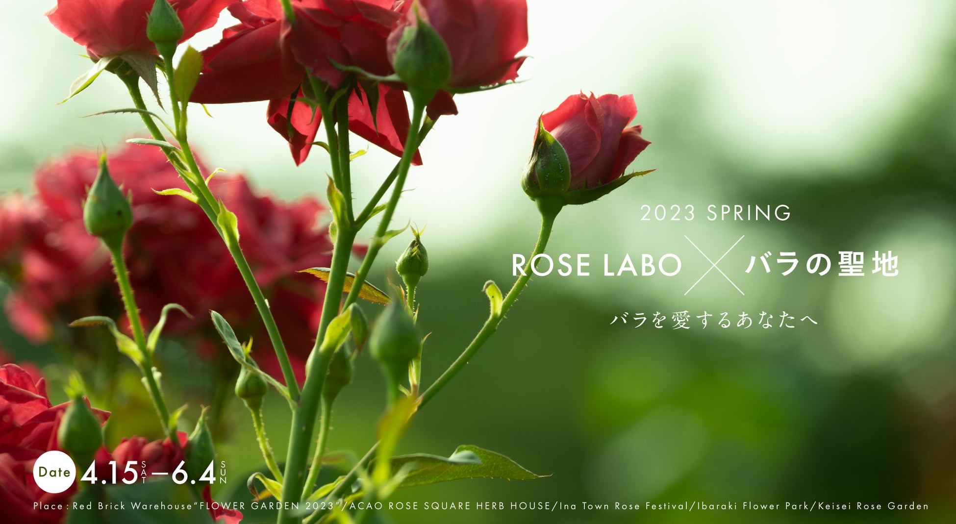 【ROSE LABO×関東各地のバラの聖地】4月15日（土）から春爛漫のローズガーデンにてPOPUPを開催！！のサブ画像1