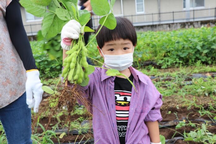 〔群馬〕伊勢崎市で季節ごとの農業体験　親子50人が野菜の種まきのメイン画像