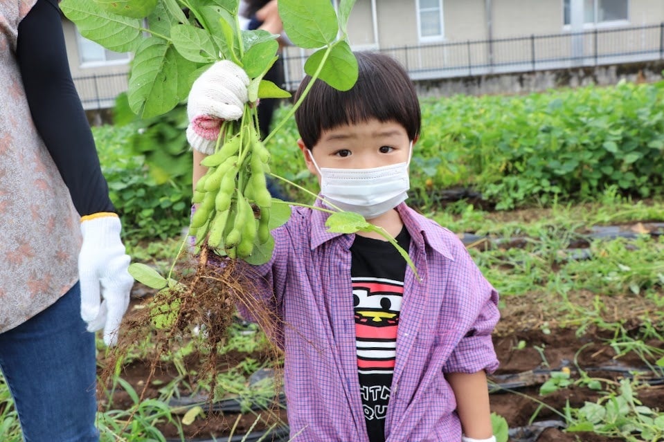〔群馬〕伊勢崎市で季節ごとの農業体験　親子50人が野菜の種まきのサブ画像2_昨年も子どもたちの手で枝豆を収穫