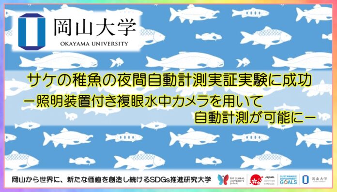 【岡山大学】サケの稚魚の夜間自動計測実証実験に成功 －照明装置付き複眼水中カメラを用いて自動計測が可能に－のメイン画像
