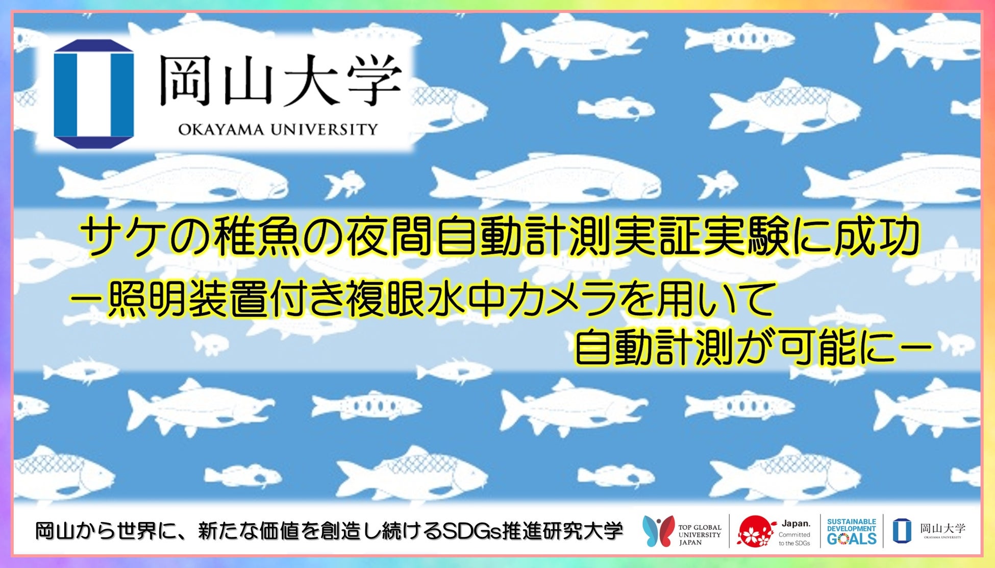 【岡山大学】サケの稚魚の夜間自動計測実証実験に成功 －照明装置付き複眼水中カメラを用いて自動計測が可能に－のサブ画像1