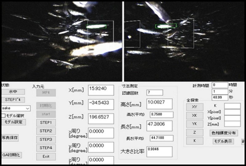 【岡山大学】サケの稚魚の夜間自動計測実証実験に成功 －照明装置付き複眼水中カメラを用いて自動計測が可能に－のサブ画像2_夜間の飼育池中を泳ぐサケの稚魚の寸法計測実験画像（左右画像中の枠は、計測された魚を示しており、同一の魚を特定することで正しい寸法計測が可能となる）