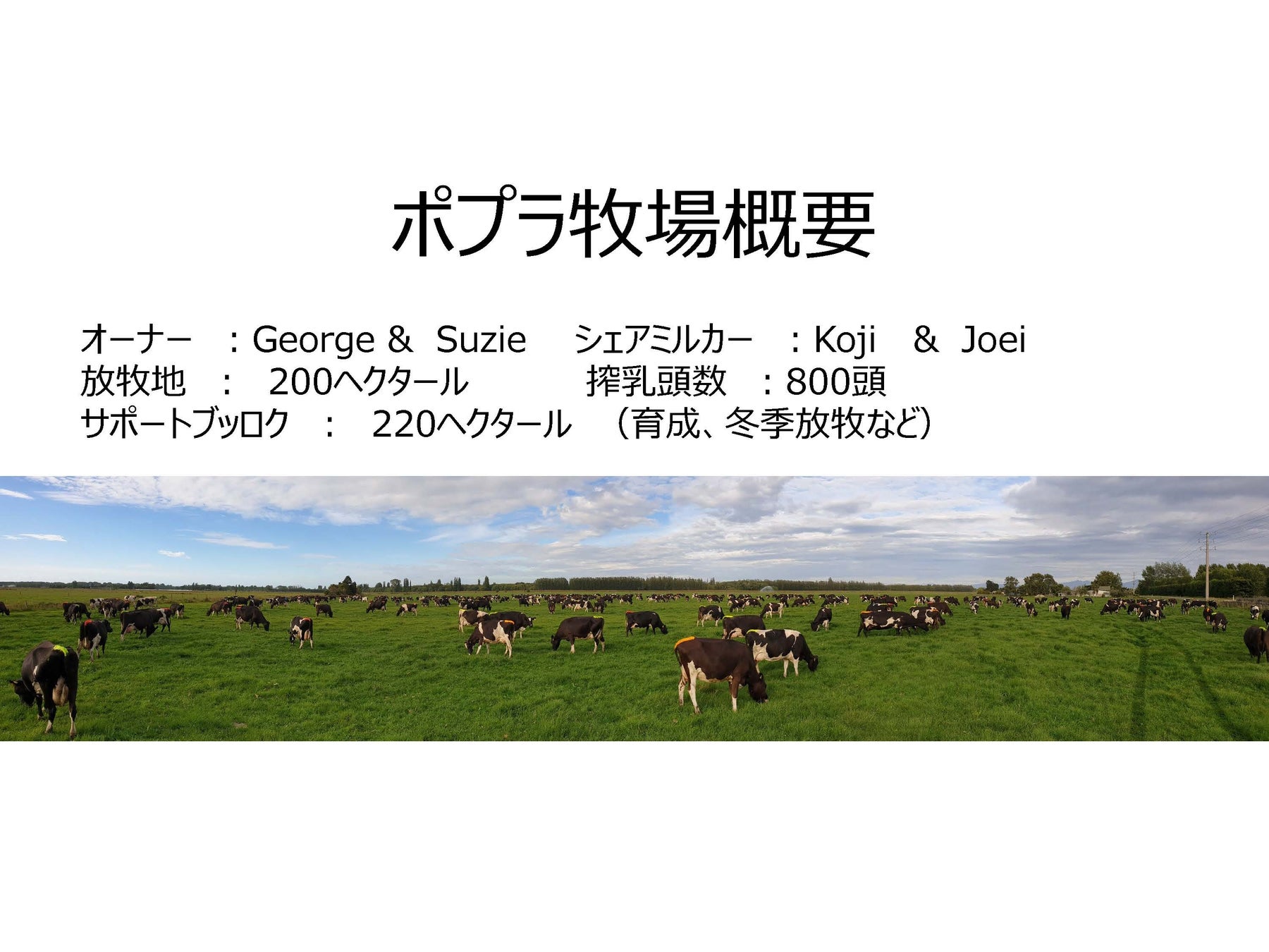 ～ニュージーランド北海道酪農協力プロジェクト10周年記念セミナー実施レポート公開～のサブ画像3