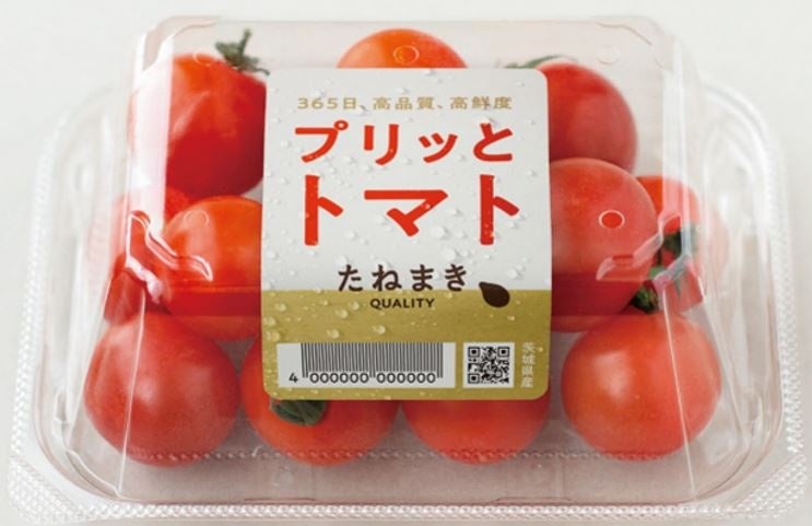 【日本最大級】ミニトマト生産拠点を完工、出荷開始のサブ画像5