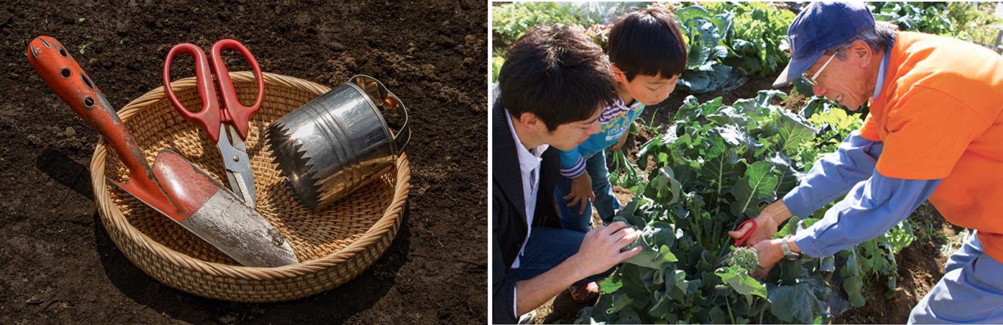 関西初の『シェア畑garden』がなんばOCAT屋上にNewOPEN！畑・農地以外の空きスペースを使った新業態“コンテナ型菜園”がミナミエリア（大阪市）にオープン！のサブ画像3