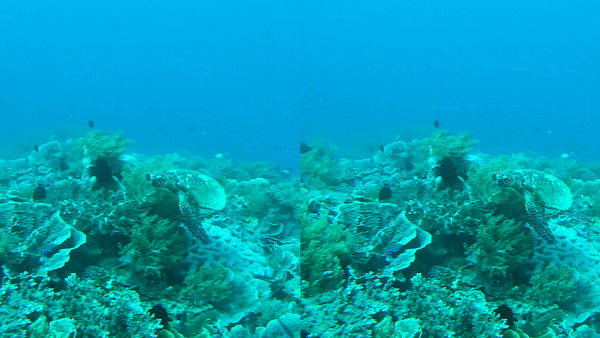 水中撮影を再定義する小型軽量・低コストな水中ドローン「FIFISH V-EVO」の先行予約を開始のサブ画像4_※左から、4K／25fps撮影、4K／60fps撮影