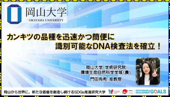 【岡山大学】カンキツの品種を迅速かつ簡便に識別可能なDNA検査法を確立！のメイン画像