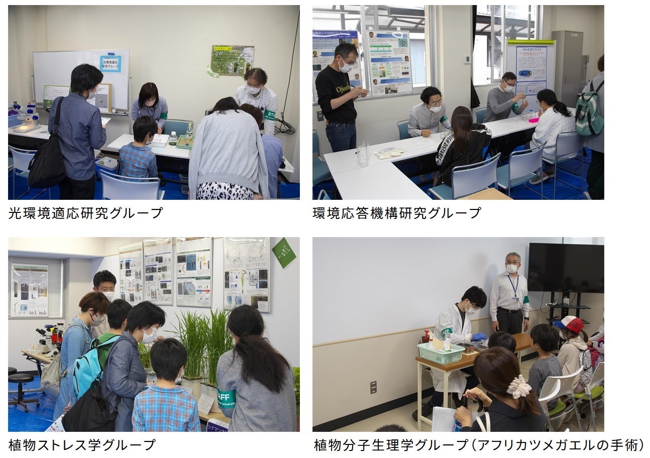 【岡山大学】令和5年度岡山大学資源植物科学研究所「一般公開」を開催しましたのサブ画像2