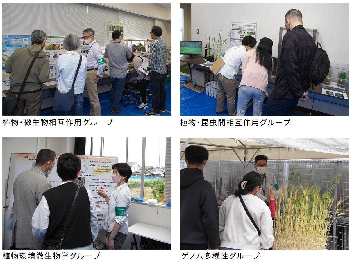 【岡山大学】令和5年度岡山大学資源植物科学研究所「一般公開」を開催しましたのサブ画像3
