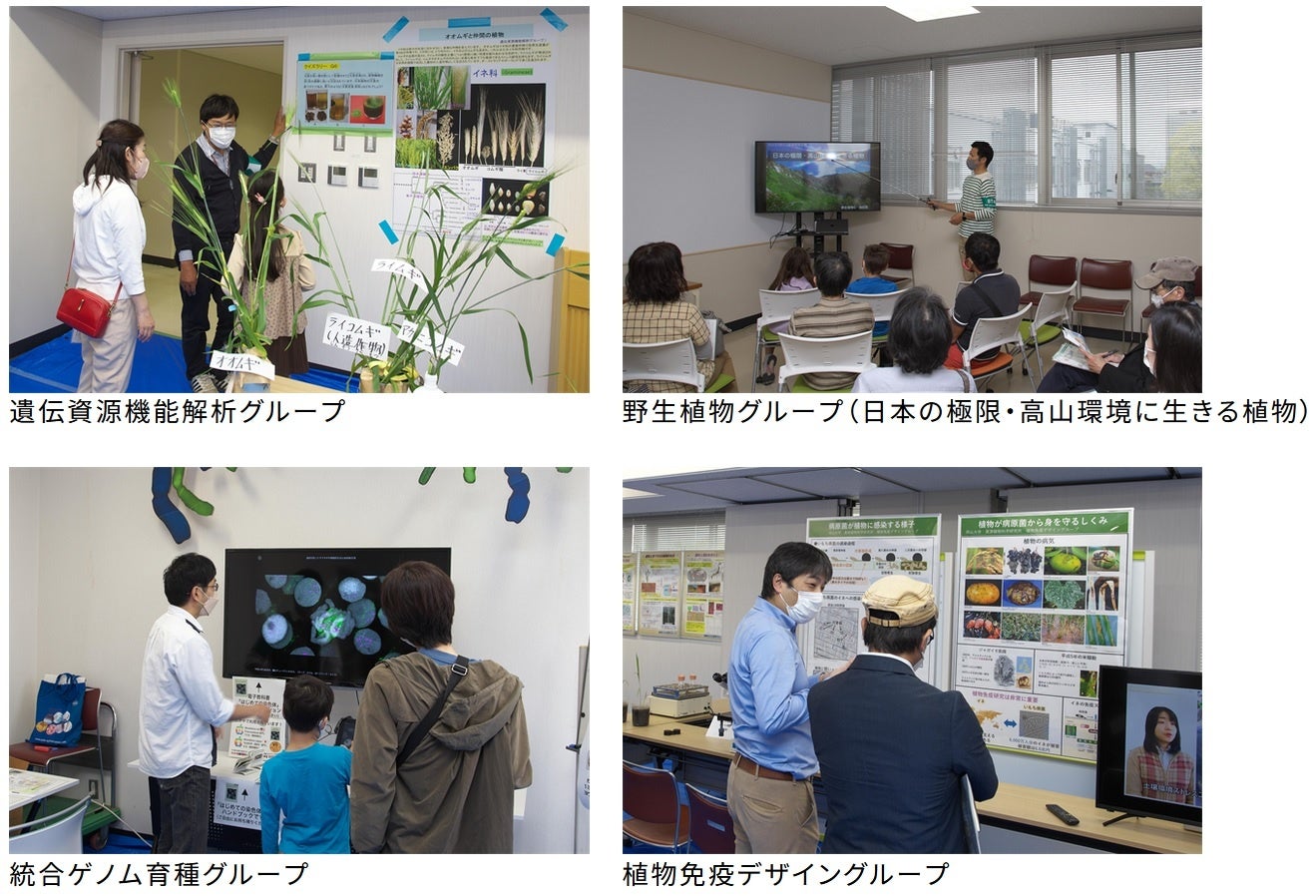 【岡山大学】令和5年度岡山大学資源植物科学研究所「一般公開」を開催しましたのサブ画像4