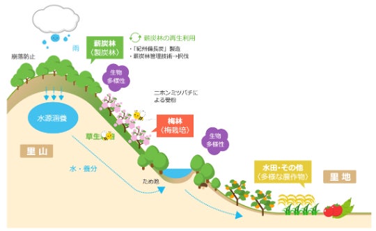 日本一の梅産地で世界農業遺産認定地域の和歌山県みなべ町にて「梅収穫ワーケーション」開催 | 5月1日～7月9日 | 一般社団法人日本ウェルビーイング推進協議会（PCW Japan）のサブ画像2