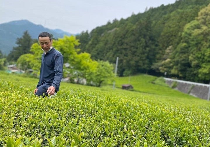 日本茶生活が春のお茶フェスタ【東京お茶めぐり2023】を2023年5月28日（日）に東京・日本橋で開催のサブ画像10