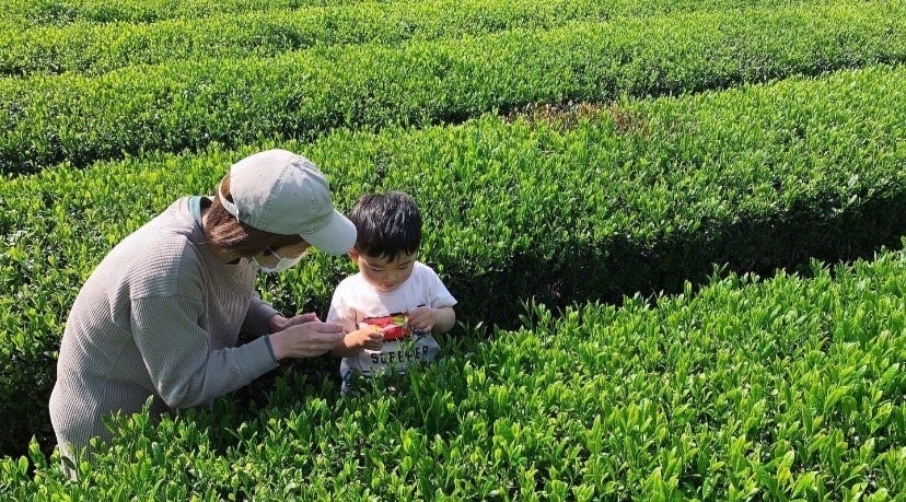 日本茶生活が春のお茶フェスタ【東京お茶めぐり2023】を2023年5月28日（日）に東京・日本橋で開催のサブ画像11