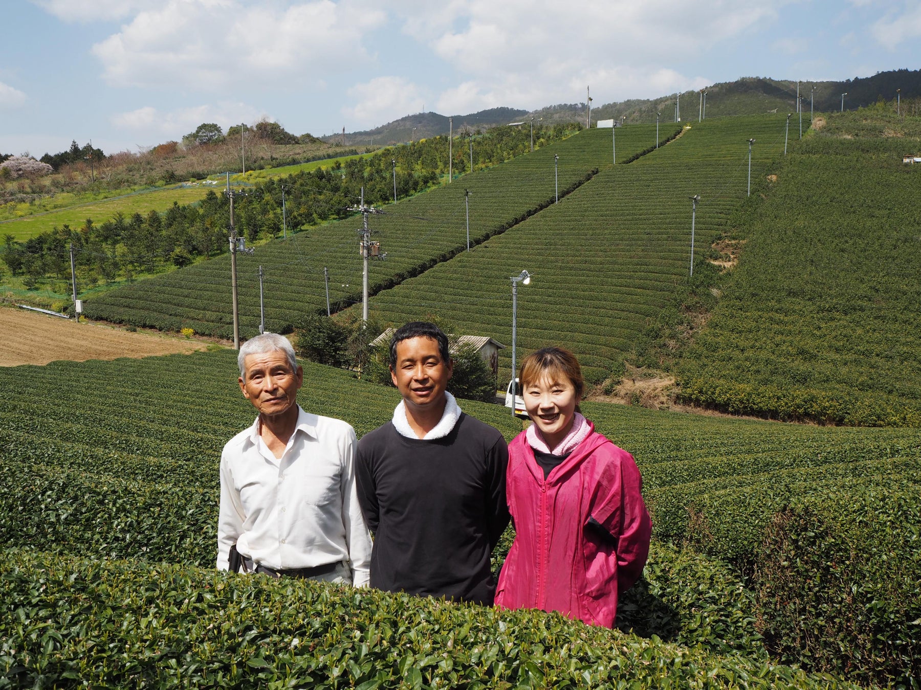 日本茶生活が春のお茶フェスタ【東京お茶めぐり2023】を2023年5月28日（日）に東京・日本橋で開催のサブ画像6