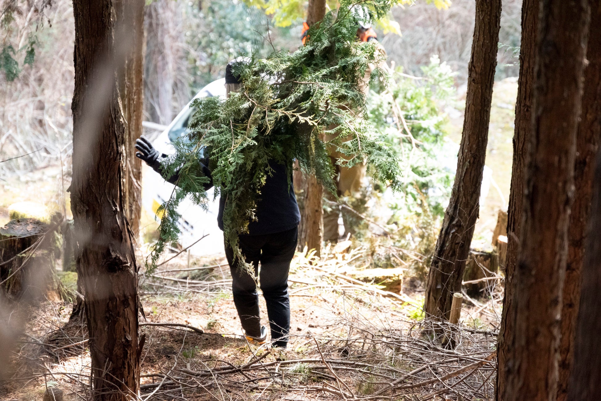 温浴事業を通じて森林再生・環境保全活動にチャレンジする発酵温浴nifuが【循環活動サポーター】を募集開始！のサブ画像7_間伐した枝葉も全て運び出します。