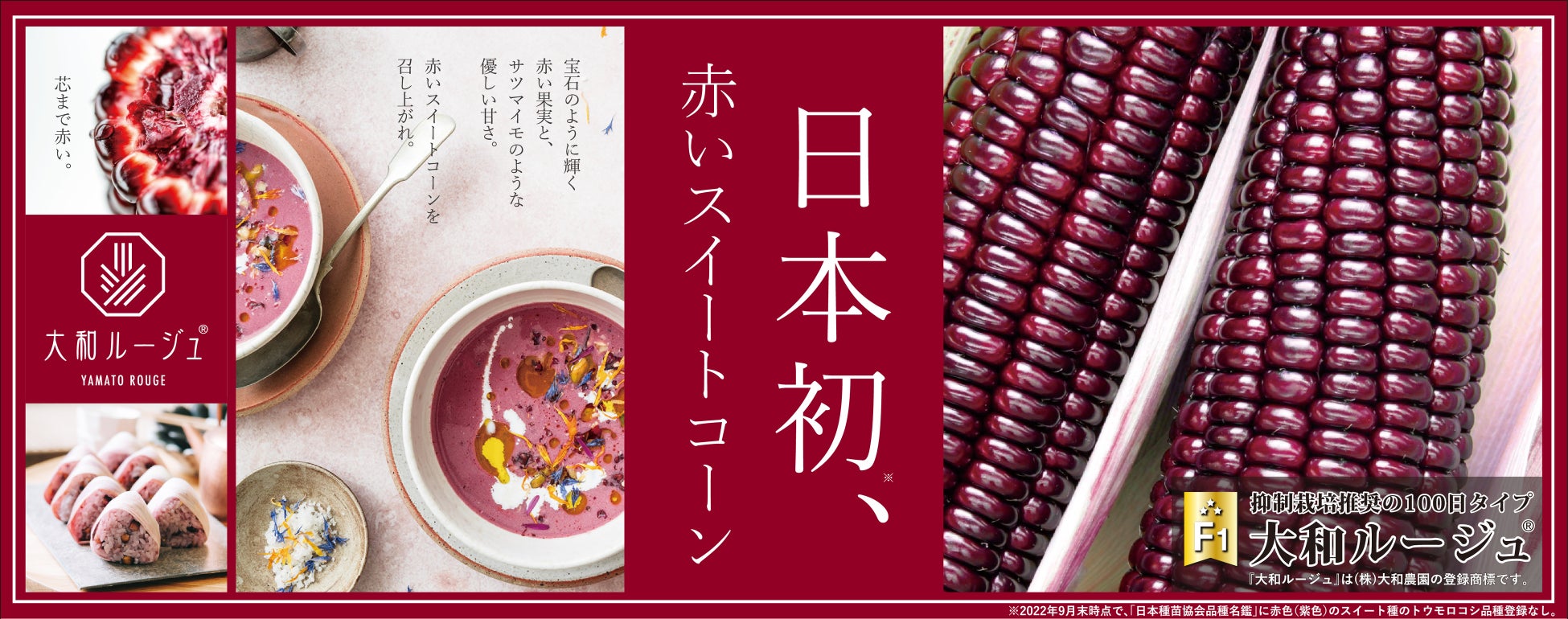 【日本初*】赤いスイートコーン『大和ルージュ®』の収穫が６月より全国各地で始まりました！のサブ画像2