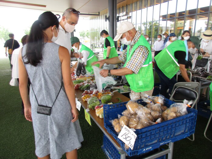 新鮮な高槻産の朝採り野菜がズラリのメイン画像