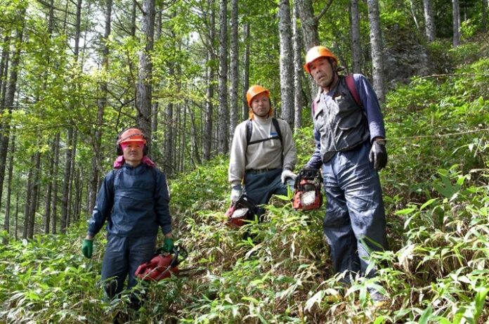 徳島県美馬市とつるぎ町、やましごと工房が連携し、森林環境税を活用した森林整備事業の発注を開始のメイン画像