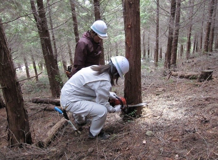 徳島県美馬市とつるぎ町、やましごと工房が連携し、森林環境税を活用した森林整備事業の発注を開始のサブ画像6