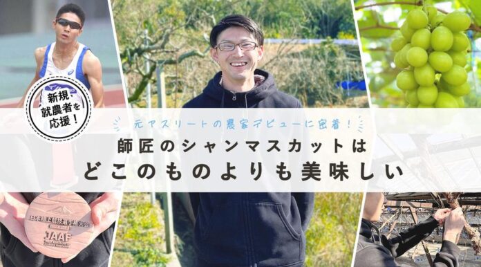 陸上競技の元日本代表選手がシャインマスカット農家に転身し本格デビュー。1年以上にわたり、レッドホースコーポレーションが新規就農を全面支援。のメイン画像
