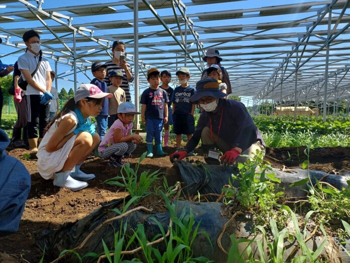 6/24(土)に千葉市緑区に食育をテーマに親子で学ぶジャガイモ収穫体験イベントの開催が決定のメイン画像