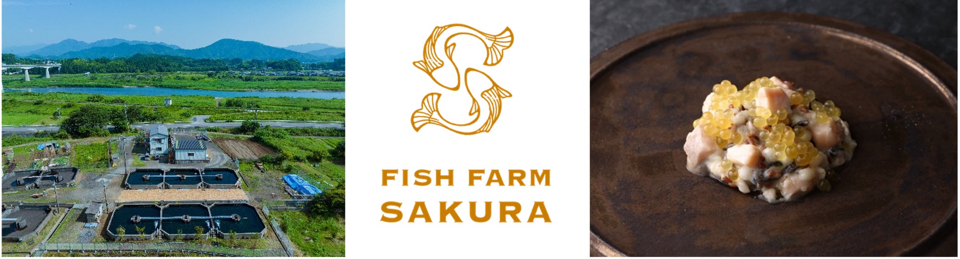 Smoltが高級魚サクラマスを大切に育み、豊かな食体験を届ける新ブランド「FISH FARM SAKURA」を発表のサブ画像1