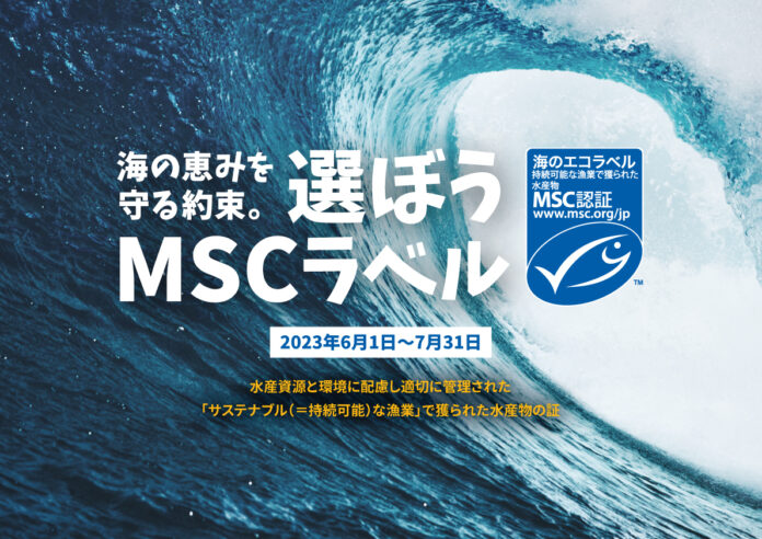 MSCジャパン「海の恵みを守る約束。選ぼうMSCラベル」キャンペーン　ココリコ田中さんが漁業の現場を体験するオリジナル動画を公開のメイン画像