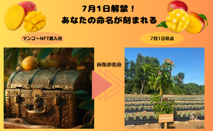 【7月1日解禁】あなたの命名が刻まれる！ 食べても消えない味わいの石垣島の極上マンゴー体験のメイン画像