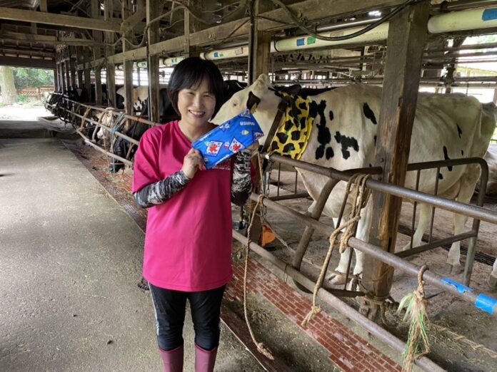 【USIMO】牛のストレスやせ防止に！電気不要のネッククーラー、札幌で展示販売 7/12,13のメイン画像