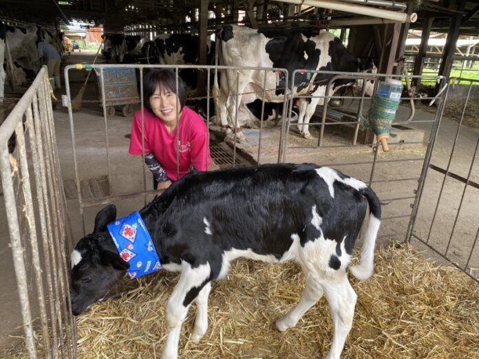 【USIMO】牛の夏バテ予防！接触冷感ネッククーラー、全国キャラバンで兵庫・鳥取・岡山へのメイン画像