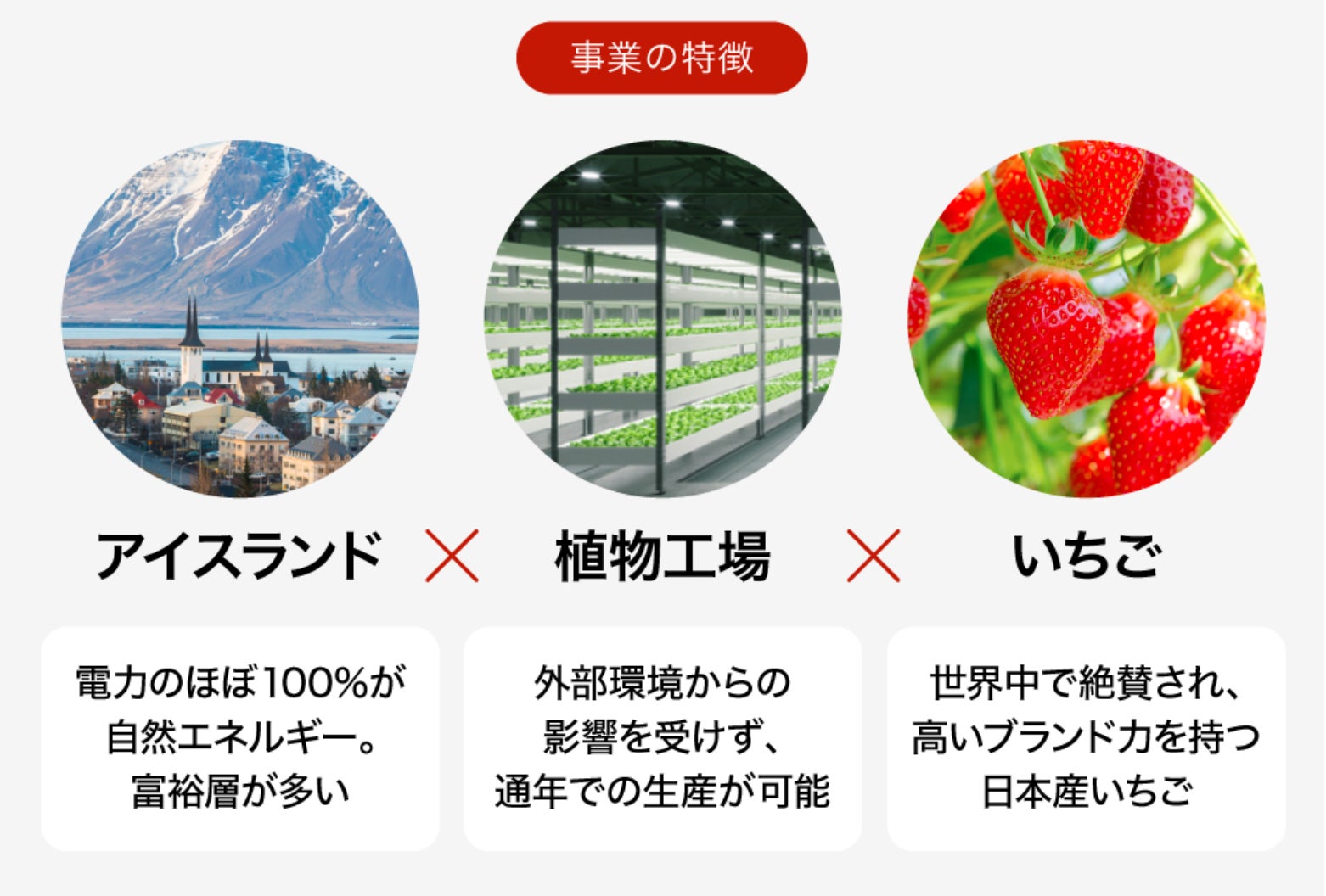 堀江 貴文氏も参画するアイスランド「日本産いちご植物工場」プロジェクト始動に向けた資金調達を株式投資型クラウドファンディングサービス「FUNDINNO（ファンディーノ）」を通してスタート。のサブ画像3