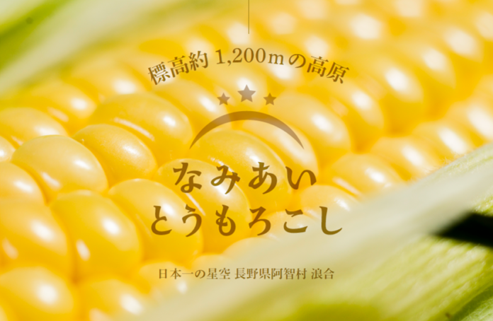 【日本一の星空】長野県阿智村　標高約1200ｍの高原で「なみあい とうもろこし」収穫体験開催のメイン画像