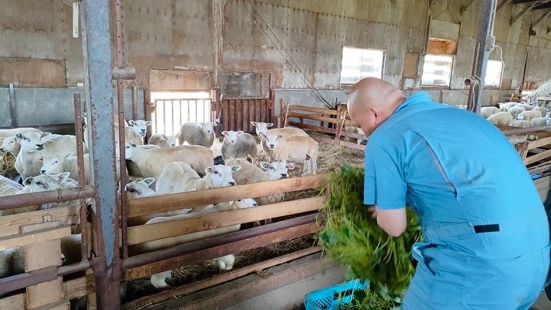 ルスツファームが廃棄野菜（生産残渣）を羊の飼料として活用した、地域の廃棄物・CO2の排出を削減するサスティナブルな取り組みを開始のサブ画像1
