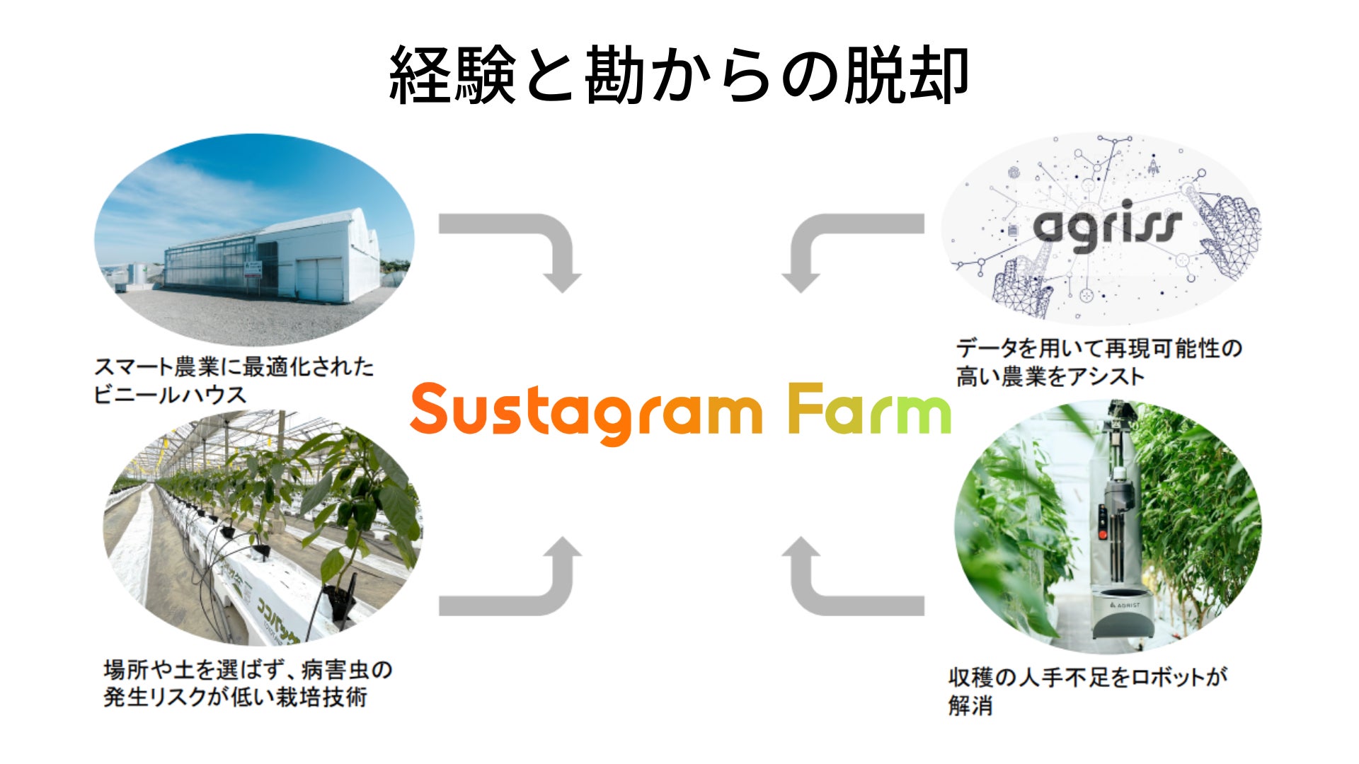 ロボットとAIを活用した自動化農業システムパッケージ『Sustagram Farm』の販売開始を発表のサブ画像1