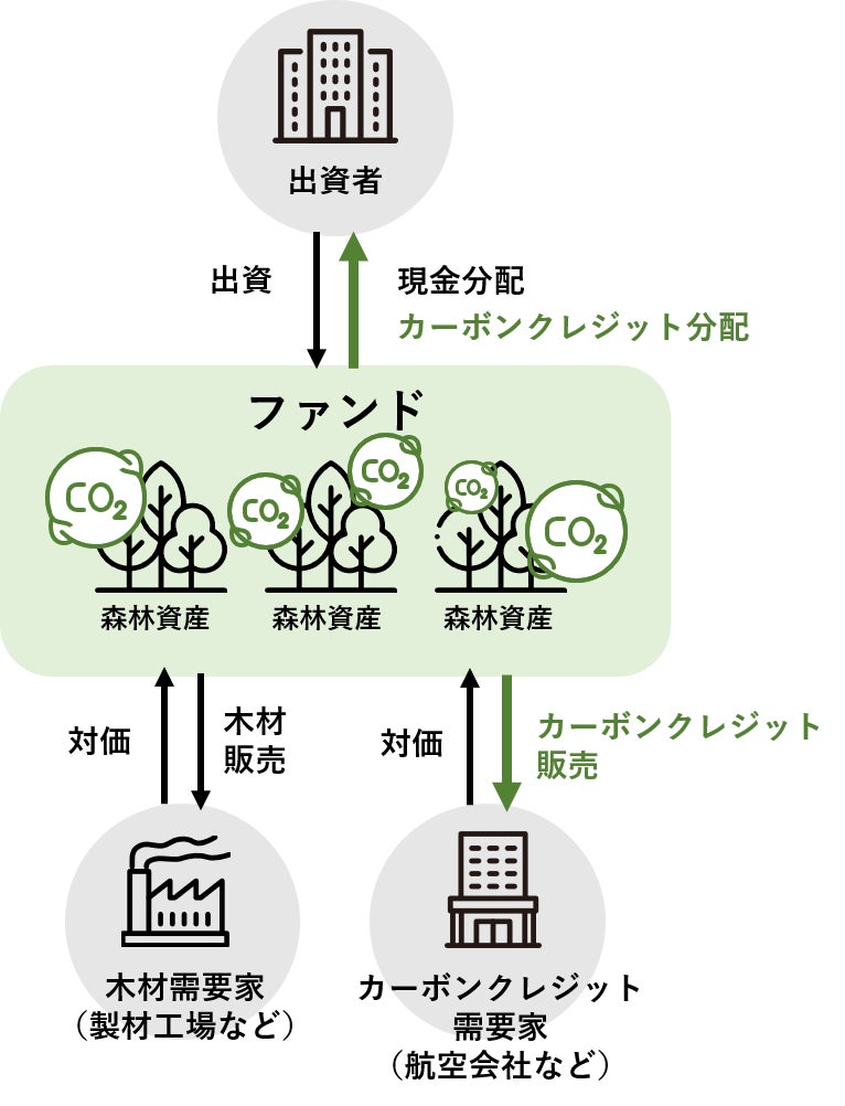 日本企業10社　住友林業グループ組成の森林ファンドへ共同出資のサブ画像2