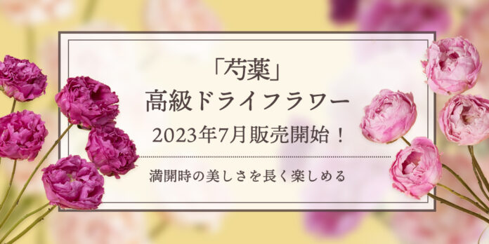 新商品「芍薬」の高級ドライフラワー販売開始！｜花の卸通販フラワースミスマーケットのメイン画像