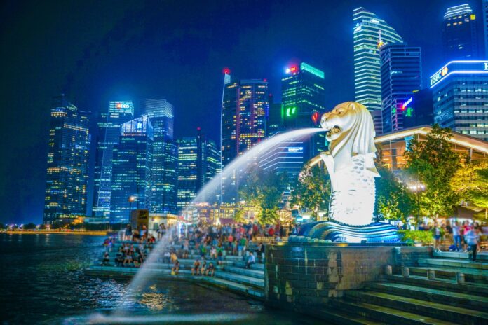 「パープルM」プロジェクト、シンガポール向けのぶどう輸出を開始のメイン画像