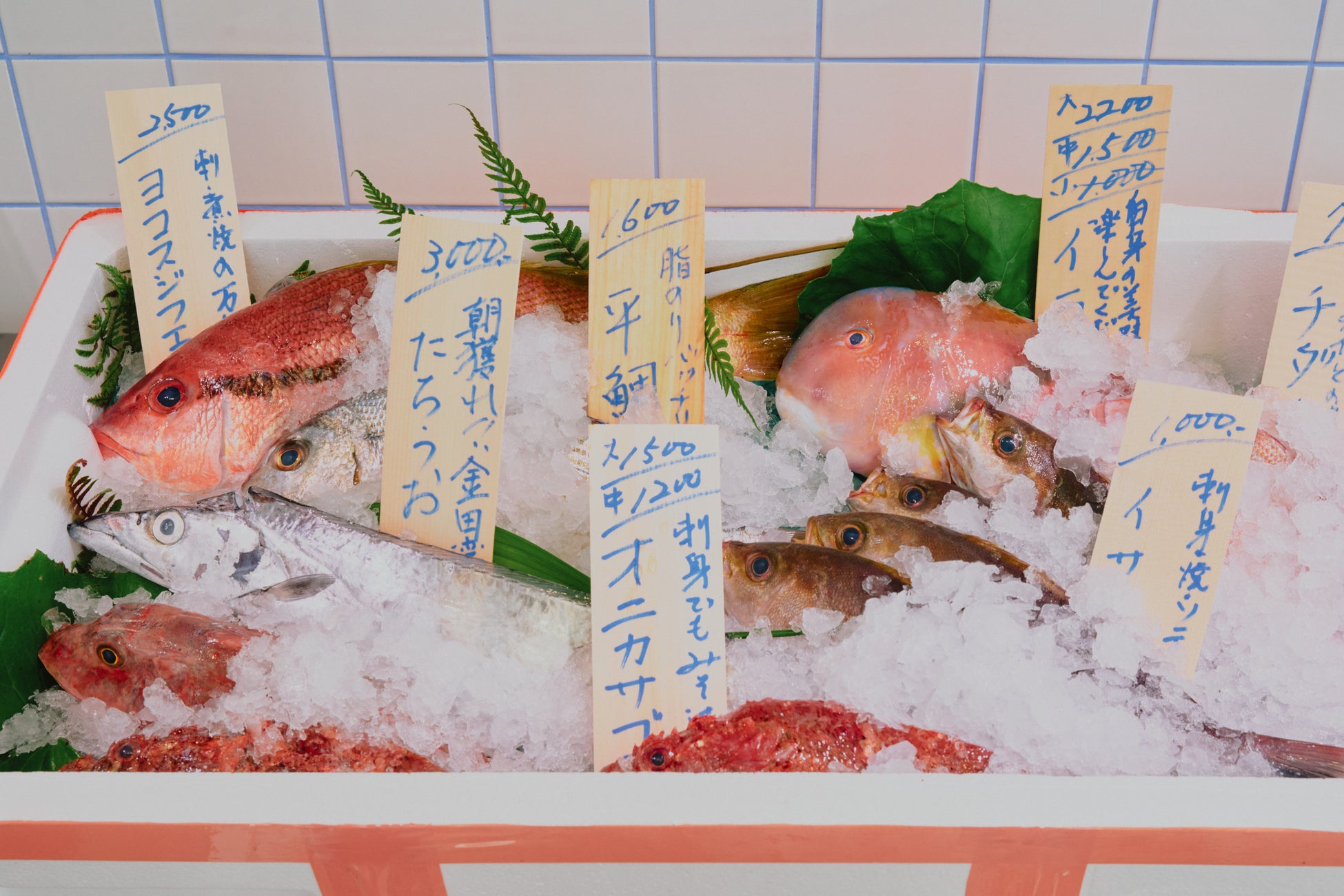 鎌倉から豊かな魚食を考える新プロジェクト「マルカマクラブ」がスタート！のサブ画像3