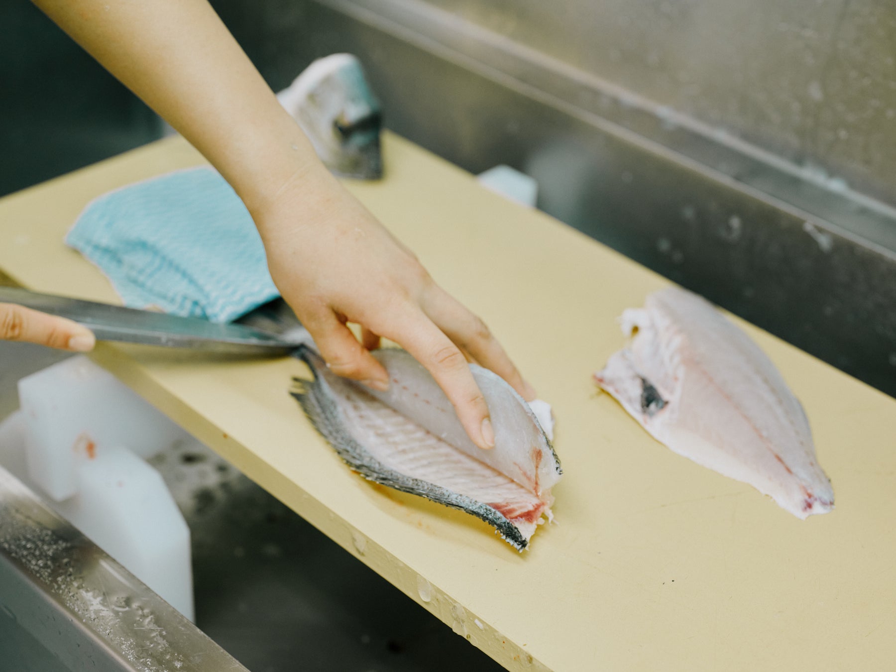 鎌倉から豊かな魚食を考える新プロジェクト「マルカマクラブ」がスタート！のサブ画像7