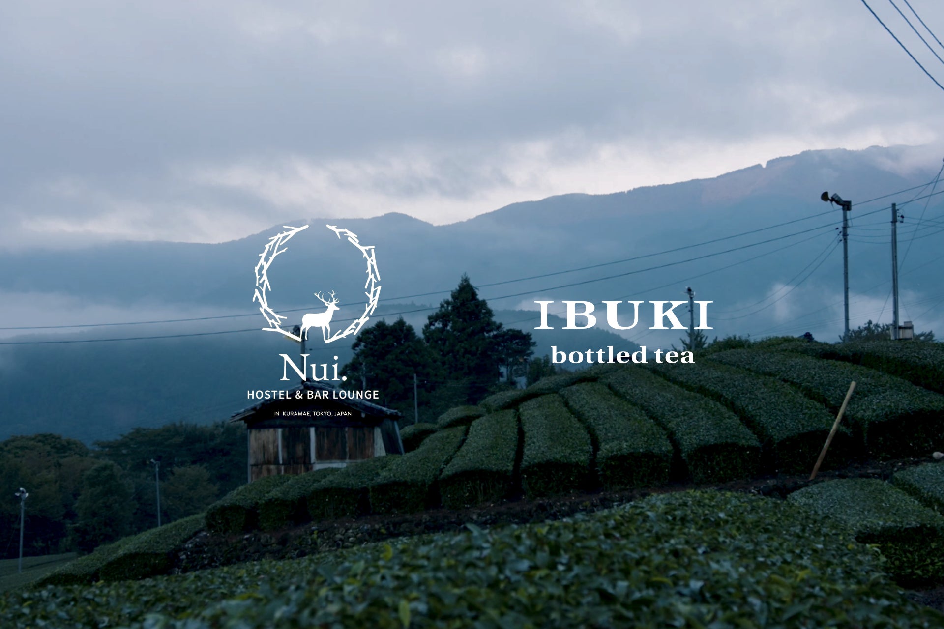 ボトリングティーブランド『IBUKI bottled tea』が初のタイアップイベントを実施。東京蔵前にある「Nui. HOSTEL & BAR LOUNGE」で未体験の日本茶の世界を堪能。のサブ画像1
