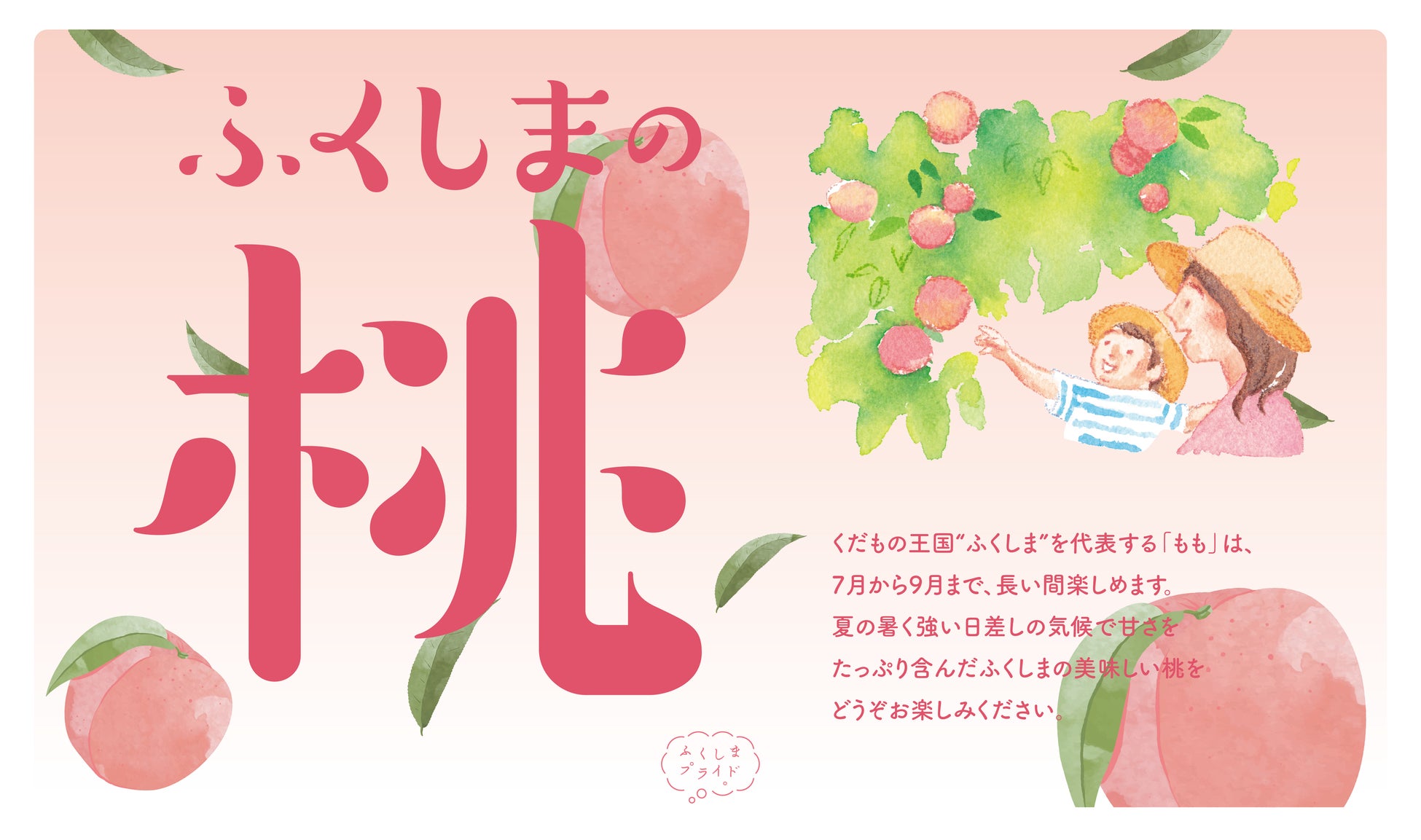 新宿高野 × 福島県「ふくしまの桃フェア」 8月２９日より開催！のサブ画像1