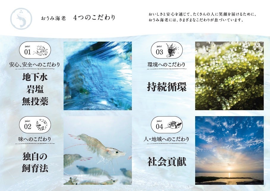 滋賀県のブランド海老「おうみ海老」が販路拡大に向け本格始動！のサブ画像6