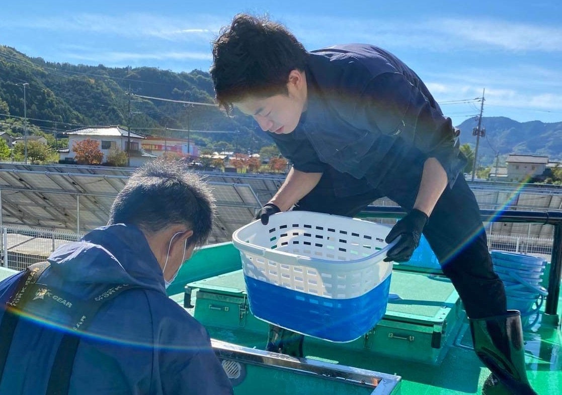海なし県埼玉でサバを育てる「温泉サバ陸上養殖場」にて、３度目となるサバの稚魚投入を実施しますのサブ画像1
