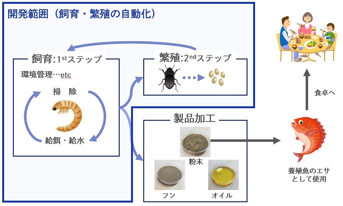 大日本印刷と愛媛大学　養殖魚のエサとなる昆虫の自動飼育装置の開発を開始のサブ画像1_自動飼育装置の開発範囲