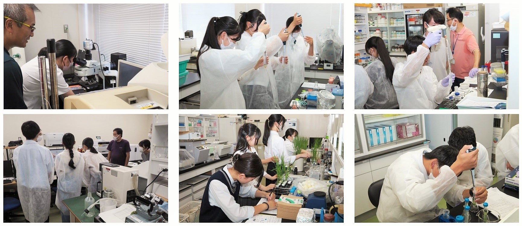 【岡山大学】資源植物科学研究所 高校生向けSummer Science School（SSS）2023を開催しましたのサブ画像2