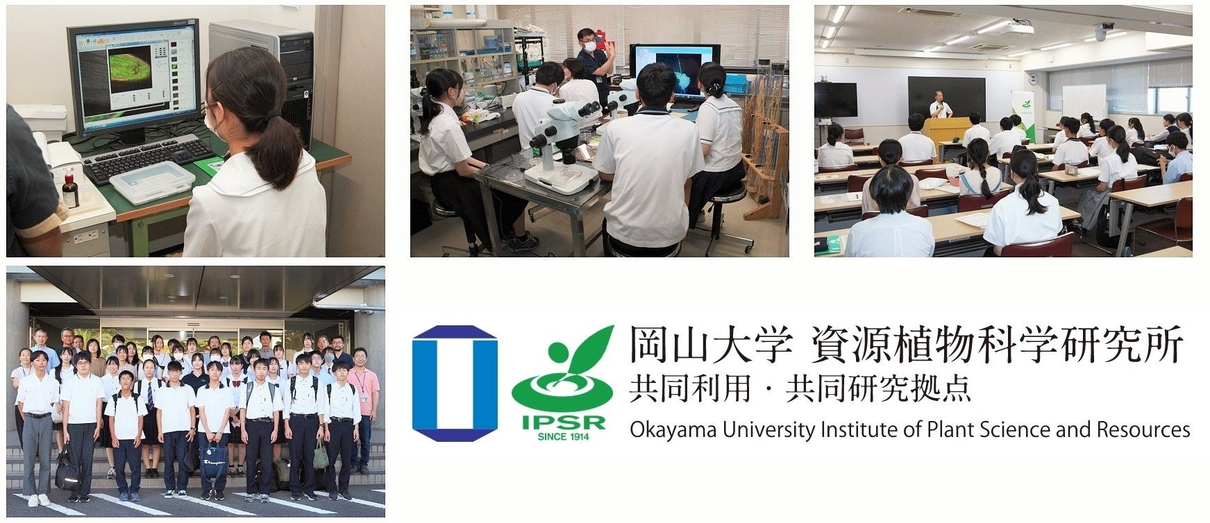【岡山大学】資源植物科学研究所 高校生向けSummer Science School（SSS）2023を開催しましたのサブ画像3