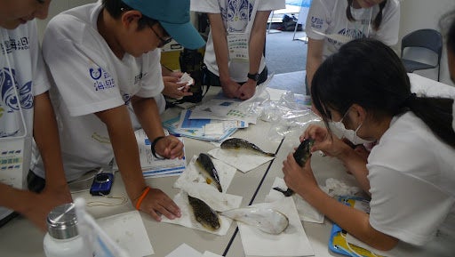 山口県の魚フグを通して海の未来を考えよう！「フクワク調査隊」（DAY2）を開催しました！のサブ画像5