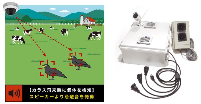 相州牛の鳥獣害対策に関するスマート畜産・実証実験を実施中のサブ画像7