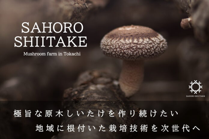 プレミアム『佐幌の椎茸』の初回販売クラウドファンディングを実施のメイン画像